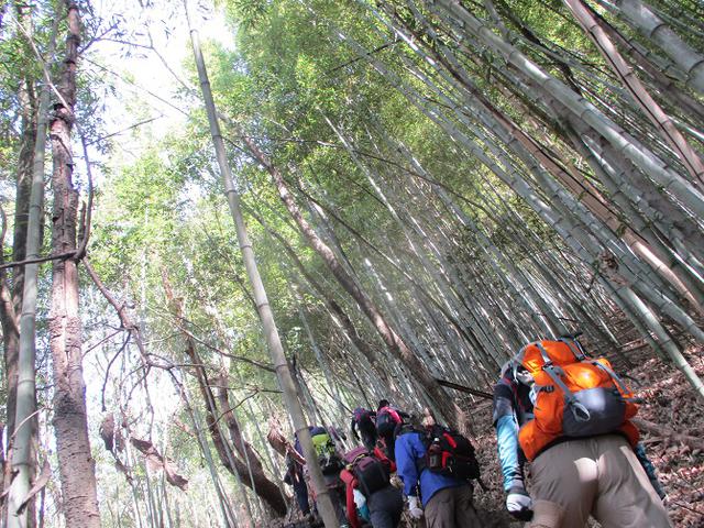 画像5: 三かも山ツアーに行ってきました!(その1)