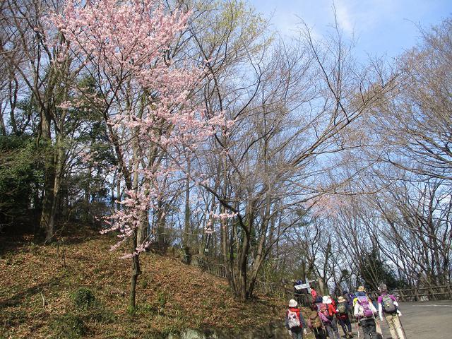 画像7: 三かも山ツアーに行ってきました!(その1)
