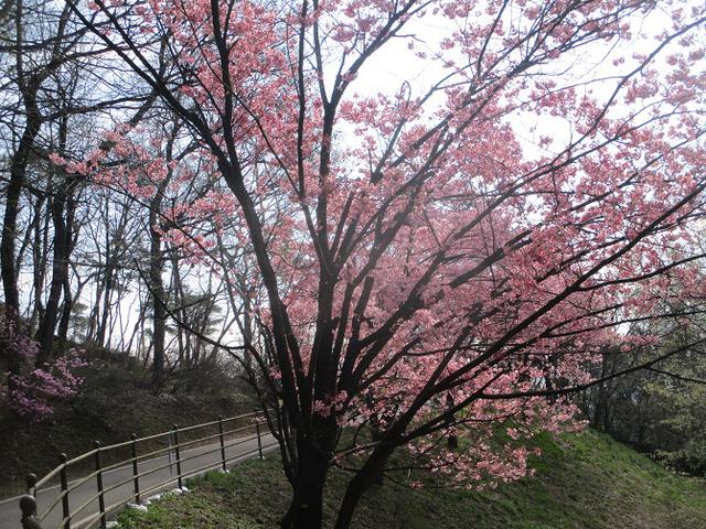 画像4: 三かも山ツアーに行ってきました!(その1)