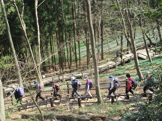画像12: 三かも山ツアーに行ってきました!(その1)