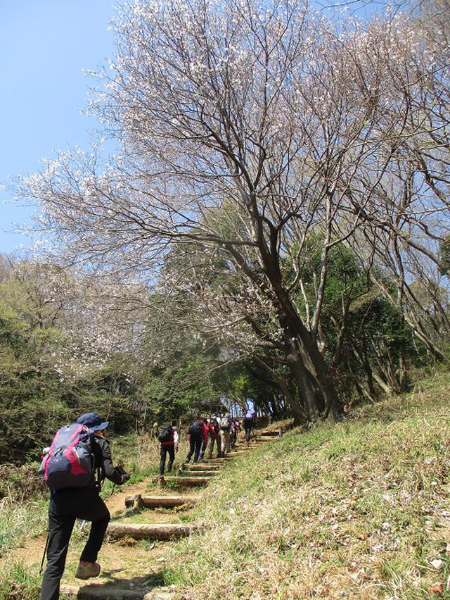 画像15: 三かも山ツアーに行ってきました!(その1)