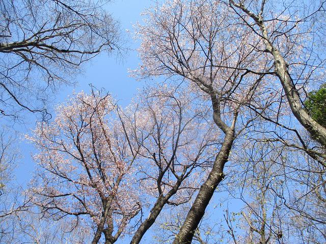 画像4: 三かも山ツアーにいってきました!(その2)