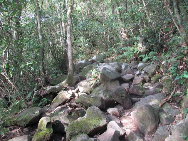 画像6: 来年春の企画素材を探して鹿児島県の 開聞岳 に行ってきました!