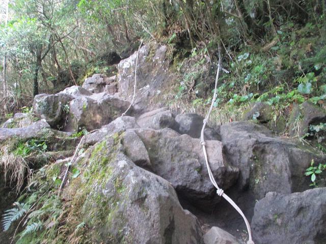 画像7: 来年春の企画素材を探して鹿児島県の 開聞岳 に行ってきました!