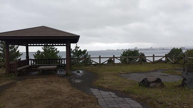 画像11: 来年春の企画の素材を探して鹿児島の 城山 に行ってきました!