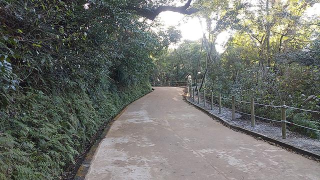 画像2: 来年春の企画の素材を探して鹿児島の 城山 に行ってきました!