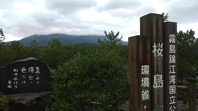 画像8: 来年春の企画の素材を探して鹿児島の 城山 に行ってきました!