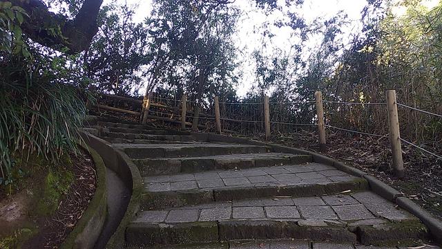 画像1: 来年春の企画の素材を探して鹿児島の 城山 に行ってきました!