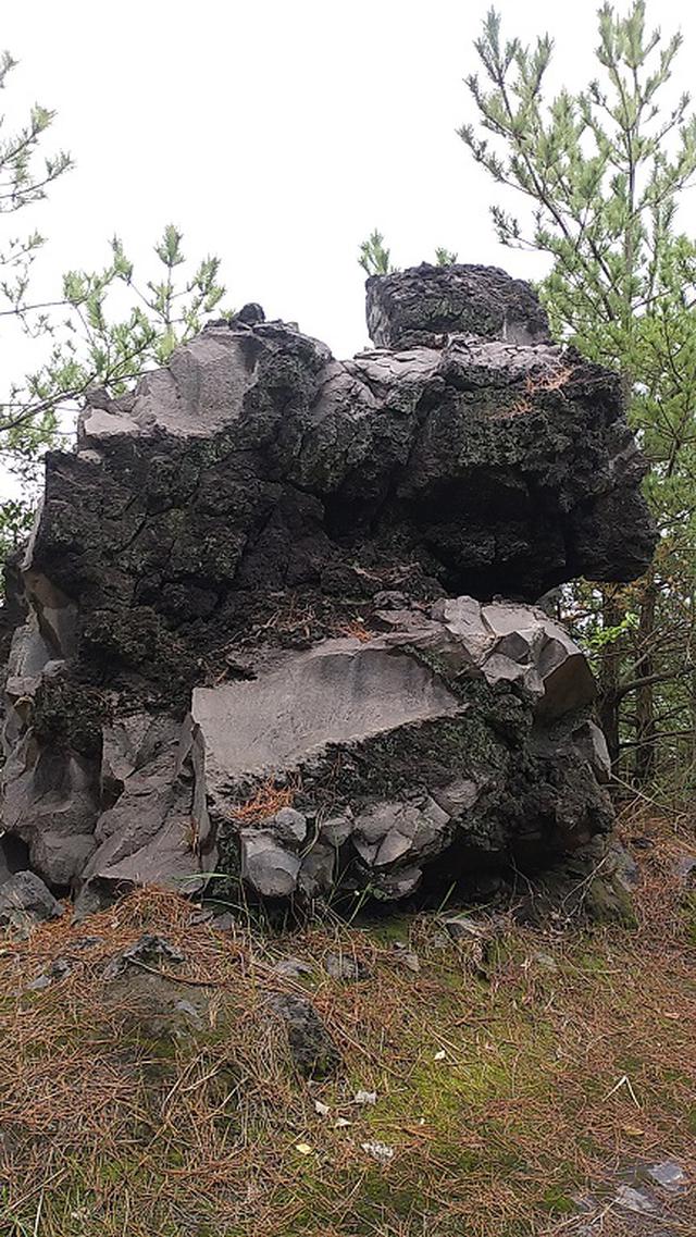 画像10: 来年春の企画の素材を探して鹿児島の 城山 に行ってきました!