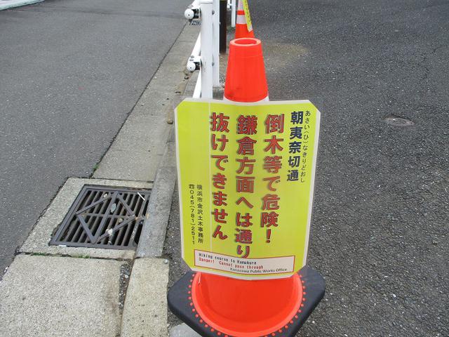 画像18: 本日は能見堂緑地から大丸山の下見のご報告です!
