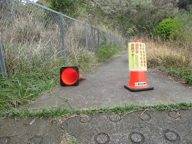 画像16: 本日は能見堂緑地から大丸山の下見のご報告です!