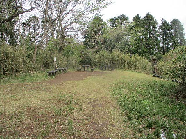 画像11: 本日は能見堂緑地から大丸山の下見のご報告です!