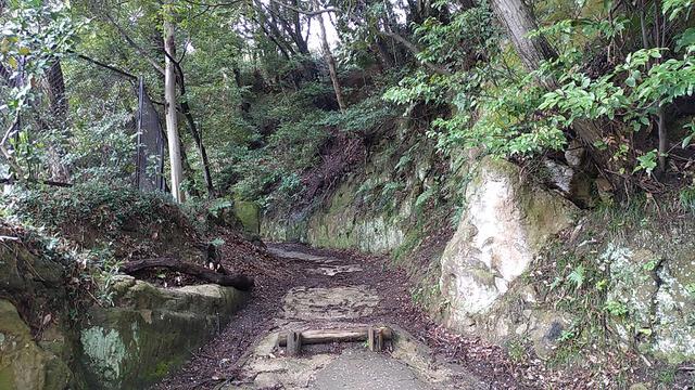 画像2: 本日は能見堂緑地から大丸山の下見のご報告です!