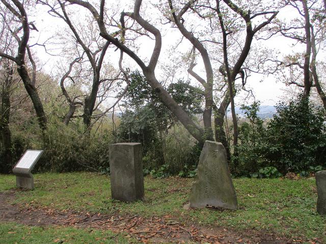 画像3: 本日は能見堂緑地から大丸山の下見のご報告です!