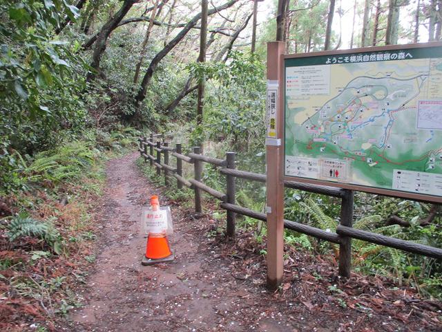 画像12: 本日は能見堂緑地から大丸山の下見のご報告です!
