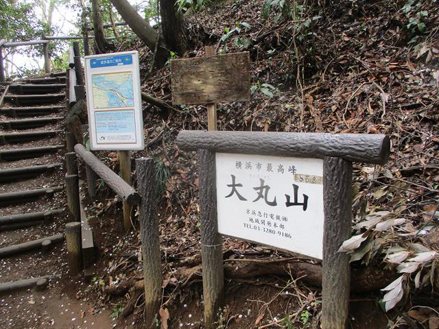 画像13: 本日は能見堂緑地から大丸山の下見のご報告です!