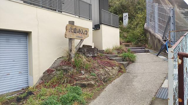 画像1: 本日は能見堂緑地から大丸山の下見のご報告です!