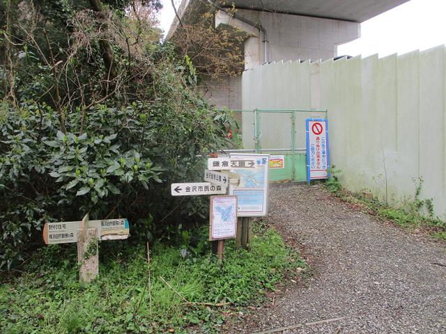 画像9: 本日は能見堂緑地から大丸山の下見のご報告です!