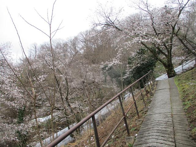 画像2: 来年春の企画の素材を探して 都留アルプス を歩いてみました!