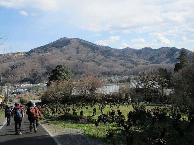 画像12: 岡田ガイドのコースで 陣見山 ツアーに行ってきました!