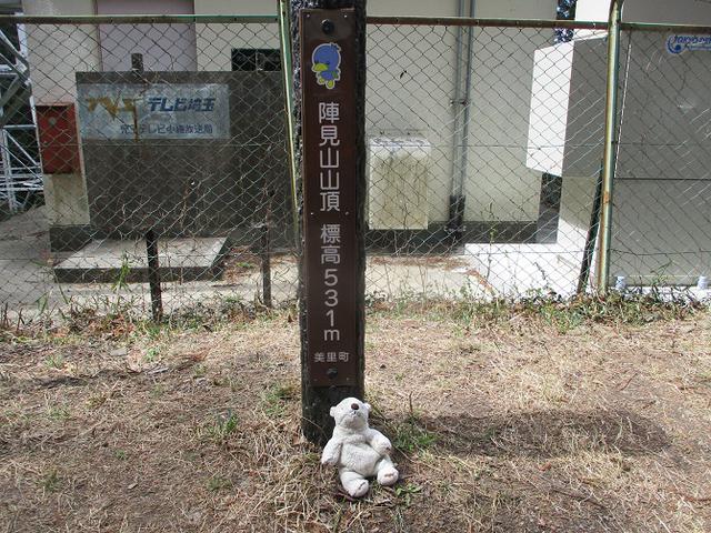画像3: 岡田ガイドのコースで 陣見山 ツアーに行ってきました!