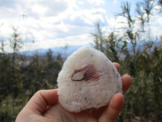 画像1: 岡田ガイドのコースで 陣見山 ツアーに行ってきました!