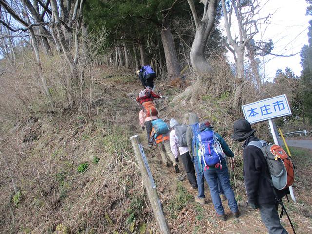 画像8: 岡田ガイドのコースで 陣見山 ツアーに行ってきました!