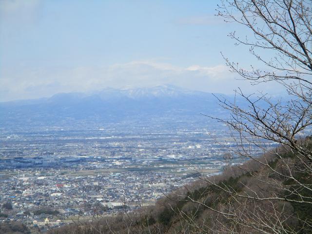画像6: 岡田ガイドのコースで 陣見山 ツアーに行ってきました!