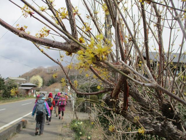 画像3: 岡田ガイドのコースで埼玉県にたたずむ 陣見山 へ行ってきました♪