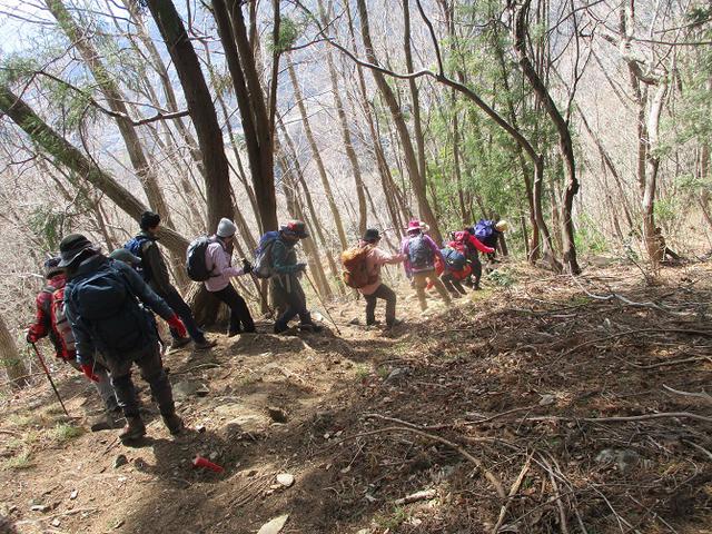 画像5: 岡田ガイドのコースで 陣見山 ツアーに行ってきました!