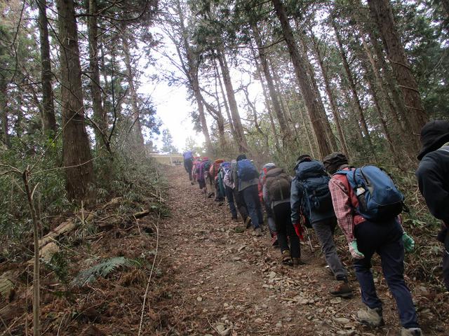画像2: 岡田ガイドのコースで 陣見山 ツアーに行ってきました!