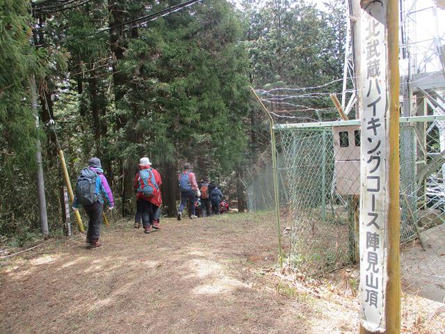 画像4: 岡田ガイドのコースで 陣見山 ツアーに行ってきました!