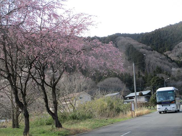 画像13: 岡田ガイドのコースで 陣見山 ツアーに行ってきました!