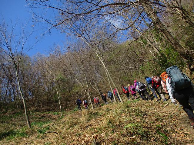 画像6: 岡田ガイドのコースで埼玉県にたたずむ 陣見山 へ行ってきました♪