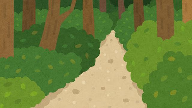 画像: 登山道(イメージ)