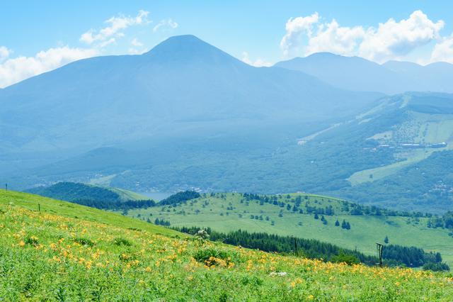 画像: 霧ヶ峰
