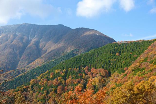 画像: 伊吹山