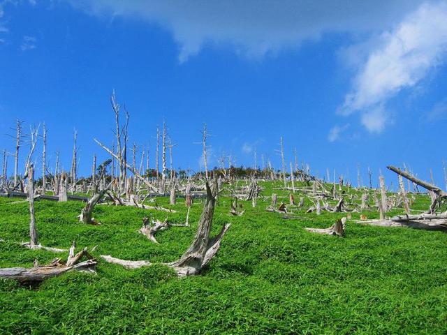 画像: 大台ケ原山