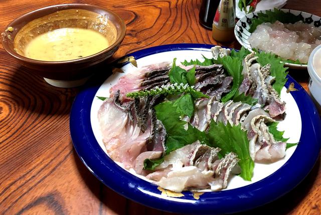 画像: 獲れたての魚を港でご試食(イメージ)