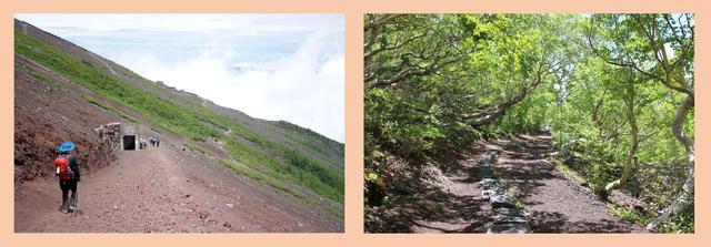 画像: 左:富士山五合目から六合目の登山道(イメージ) 右:御中道(イメージ)