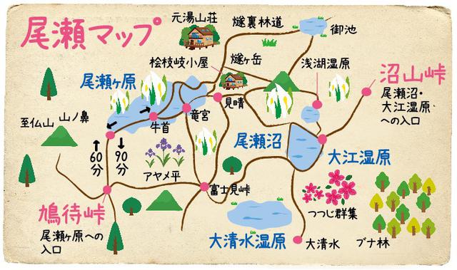 画像: 尾瀬はどこをハイキングするの?