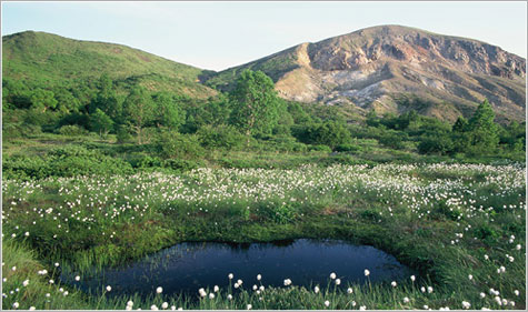 画像: 20.吾妻山（2,035m）｜