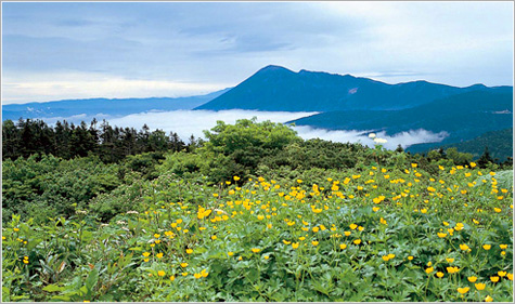 画像: 12.八幡平（1,613m）｜