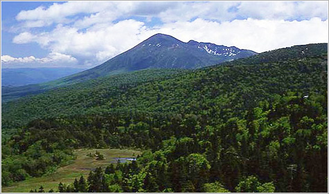 画像: 13.岩手山（2,038m）｜