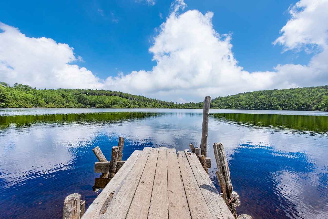 画像: 6. しらびそ小屋～ニュウ～白駒池（最終回）