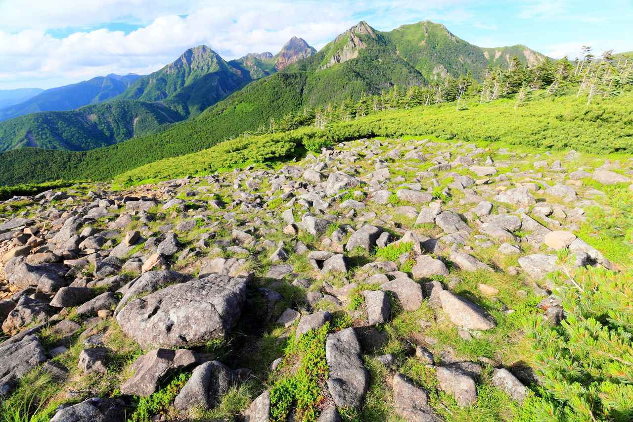 画像: 4. 編笠岳～権現岳～西岳（8月編）