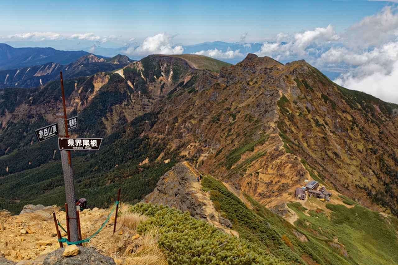 画像: 3. 白駒池～黒百合ヒュッテ～天狗岳（8月編）