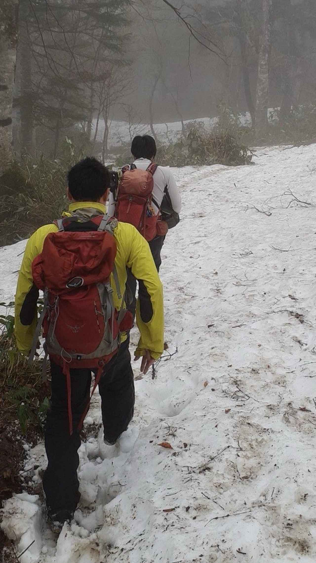 画像: 雪の上を歩いていきます(スタッフ撮影/25.5)