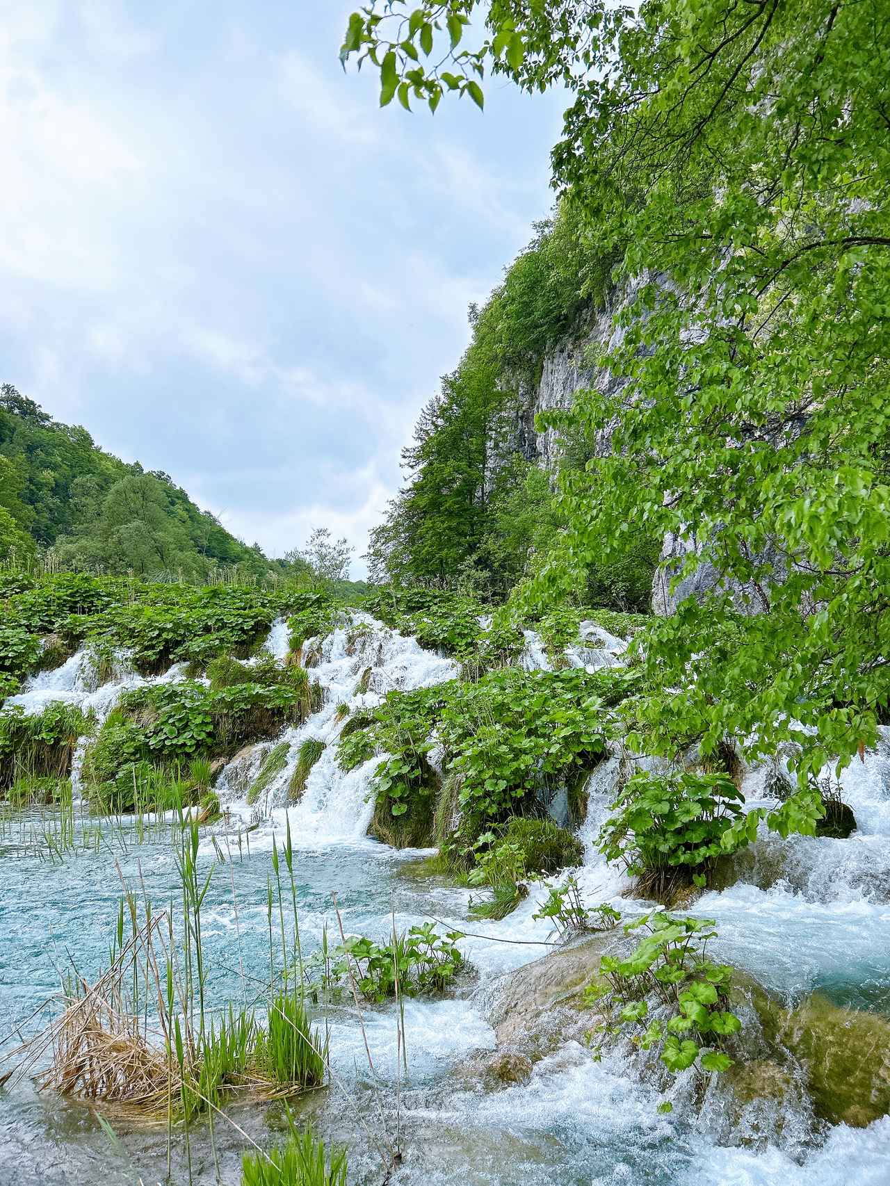 画像: とにかく水量がすごい!