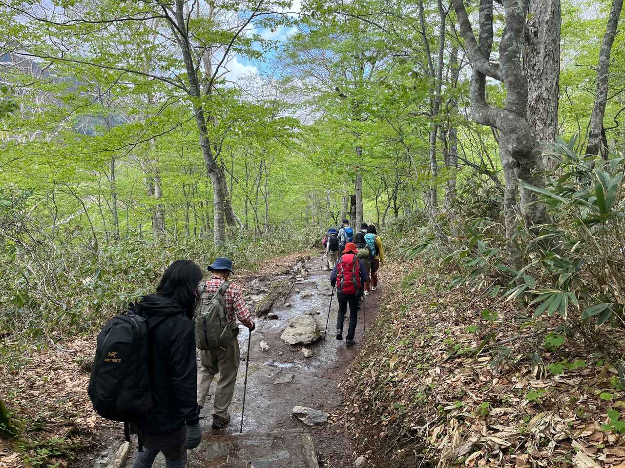 画像: 最初は登山道の下り道